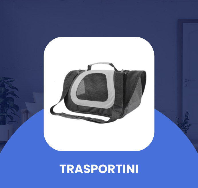 Trasportini
